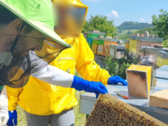 Progetto sull'apicoltura con i ragazzi della Comunità Educative per Minori "Le Sibille" e "La Priora" di Montefortino